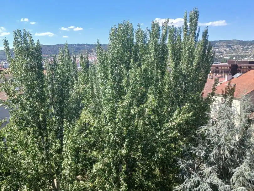 Piso de 96 m² en Ourense