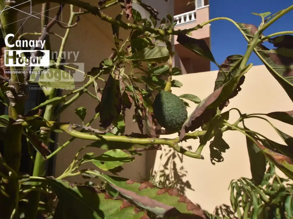Casa de 168 m² en Granadilla de Abona