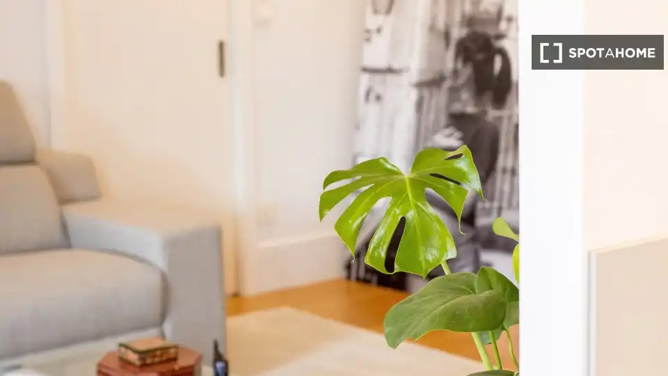 Habitación en alquiler, San Sebastián
