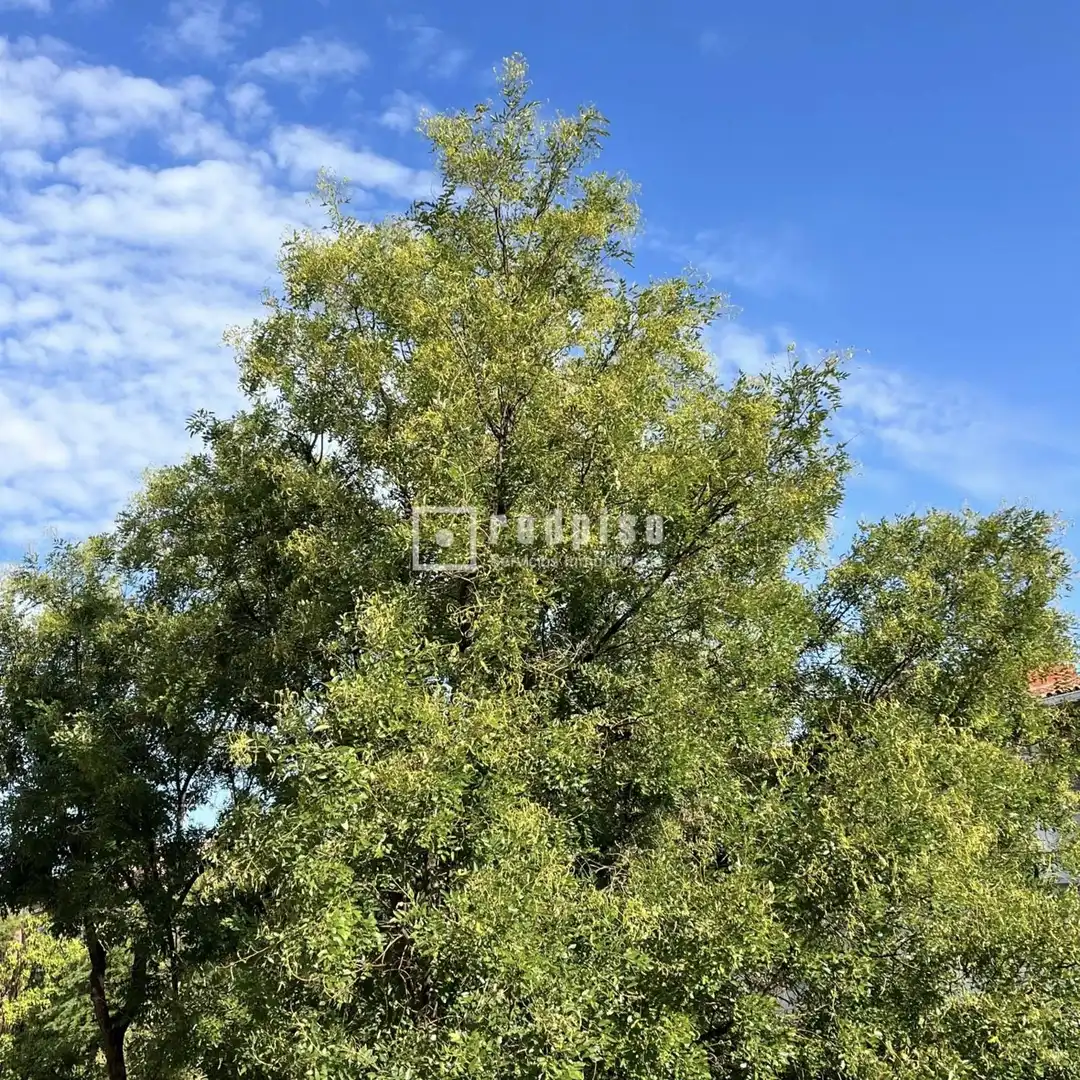 Piso de 79 m² en Madrid