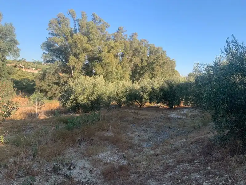 Haus 80 m² in Alhaurín el Grande