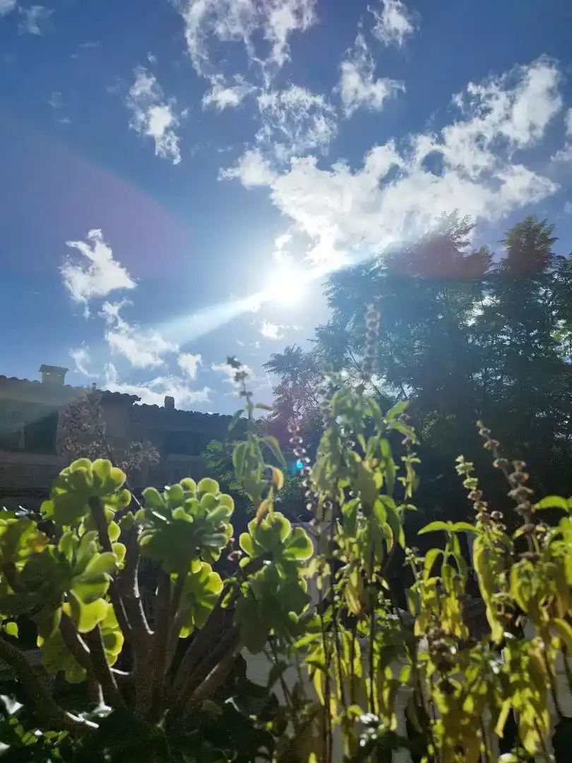 Habitació 150 m², Valldemossa