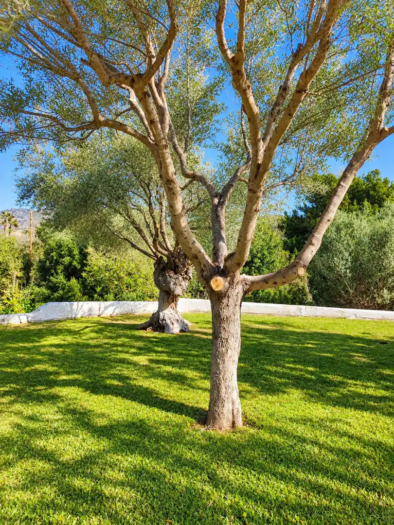 Casa de 140 m² en Andratx