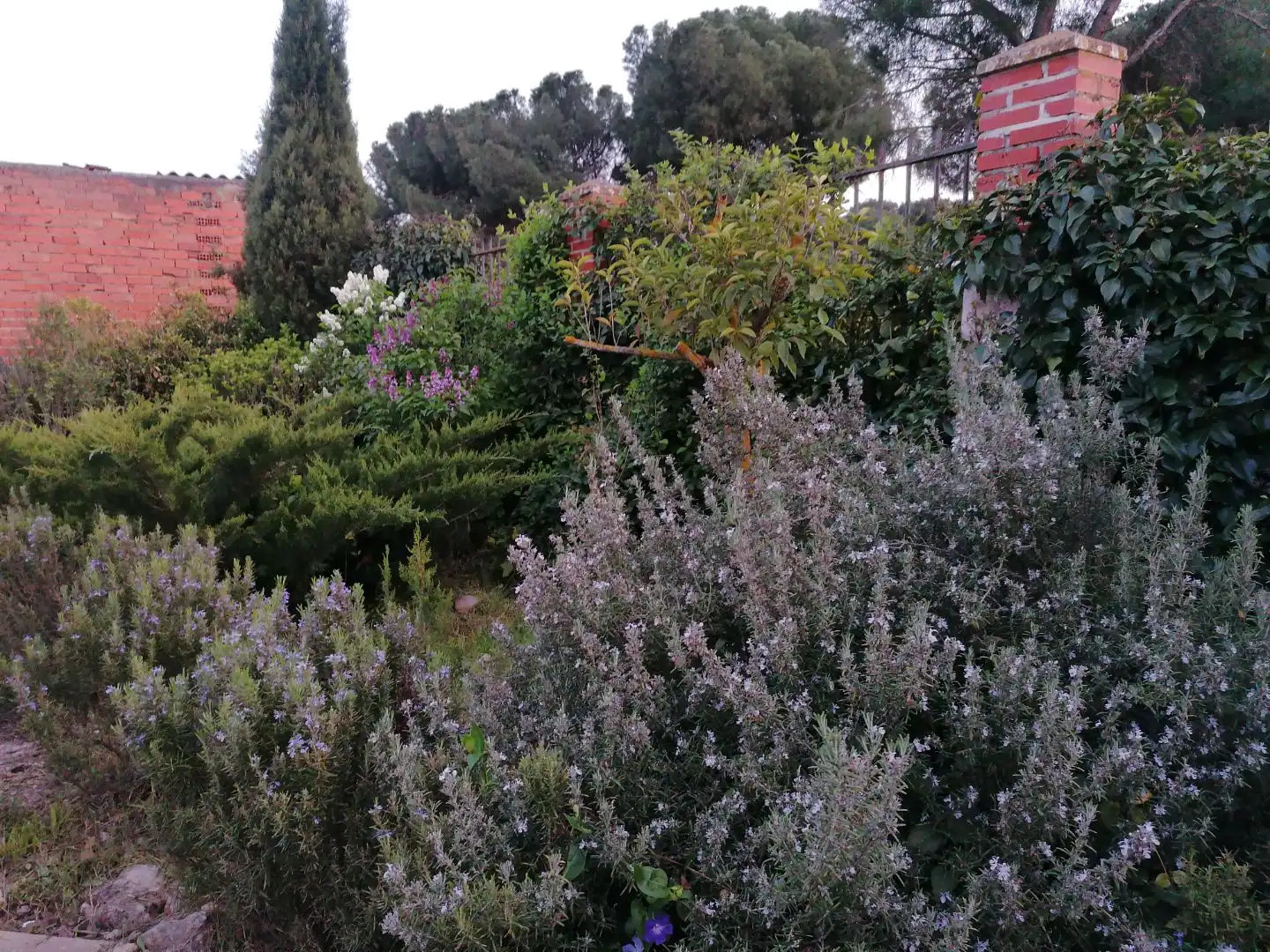 Casa de 60 m² a Valladolid