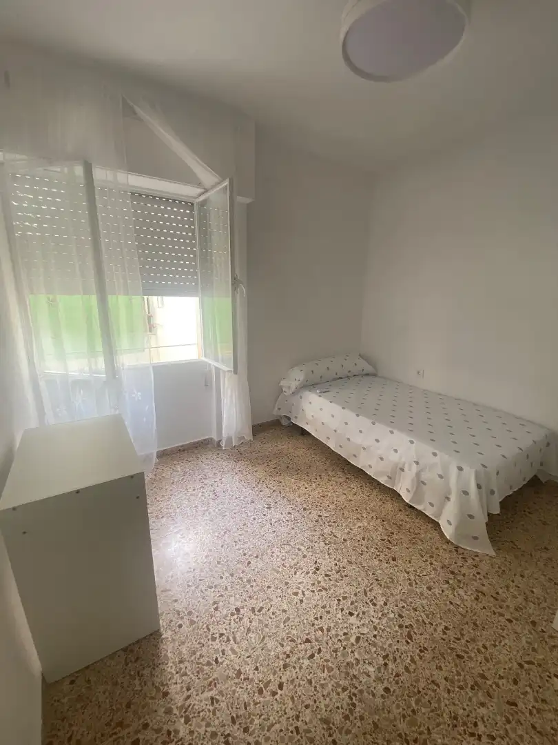 Habitació de lloguer, Alacant
