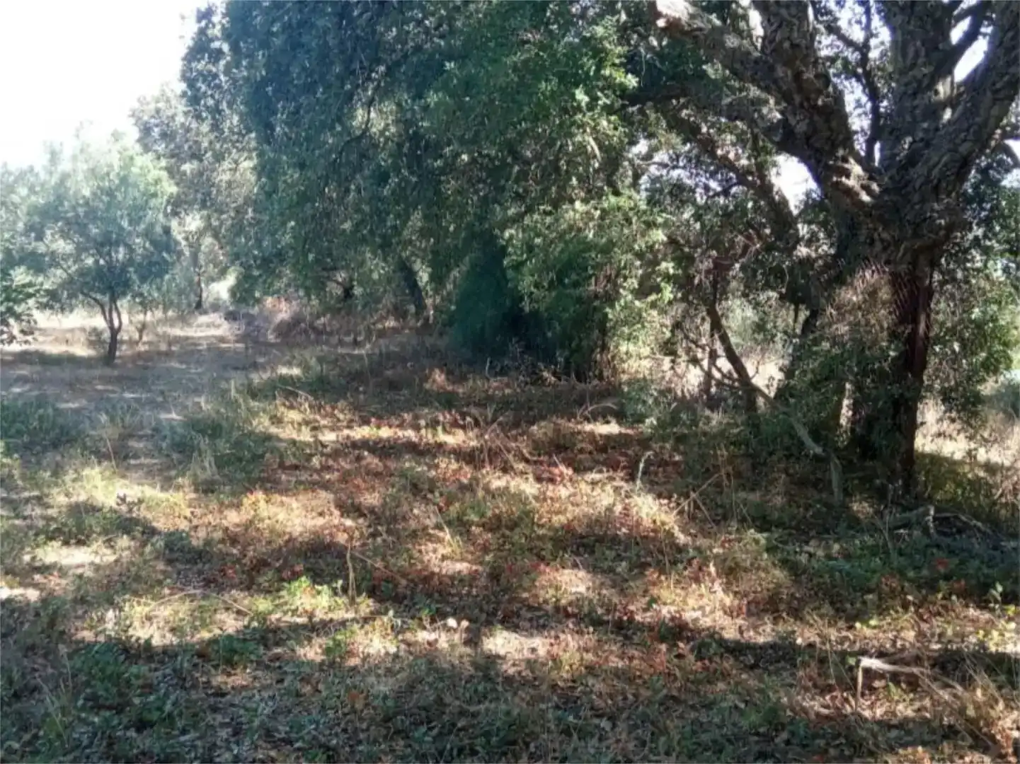 Casa de 240 m² en La Codosera