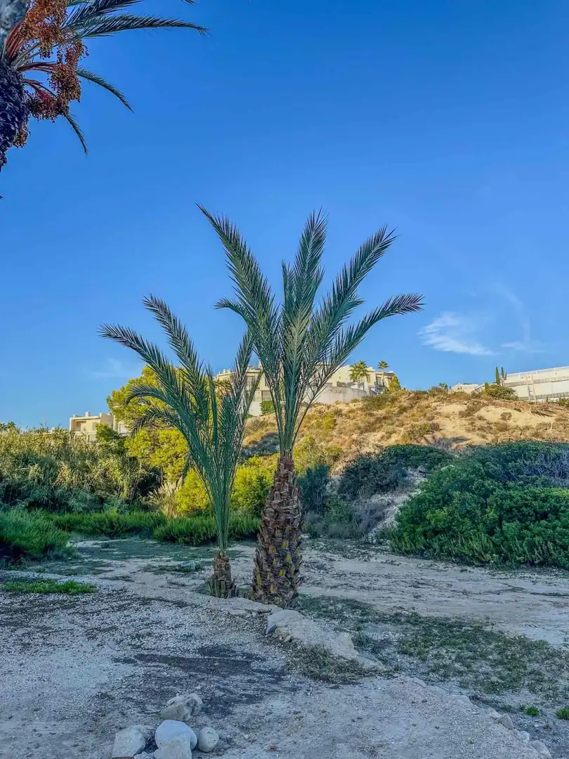 Casa de 99 m² a el Campello