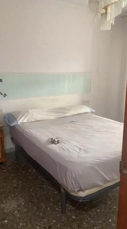 Habitación 135 m², Almería