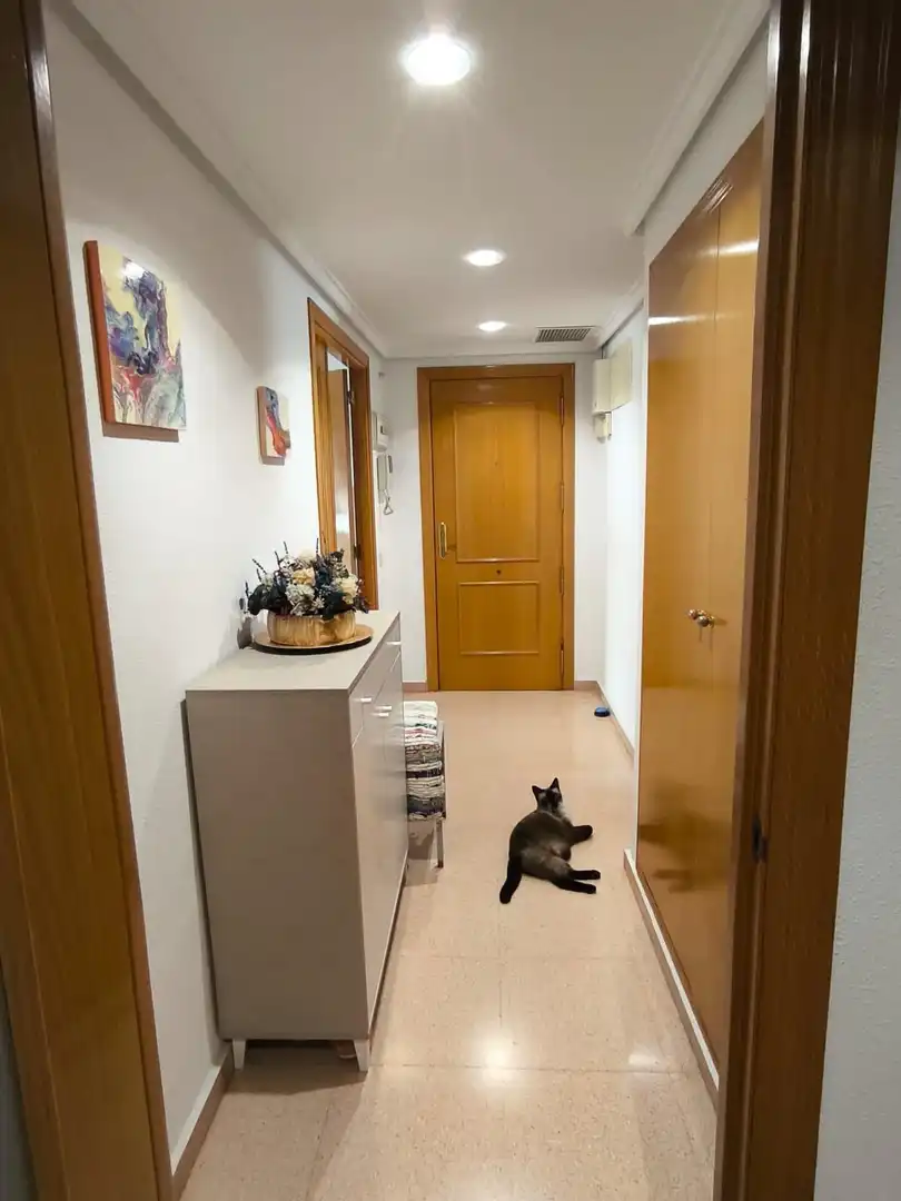 Wohnung 160 m² in Alicante
