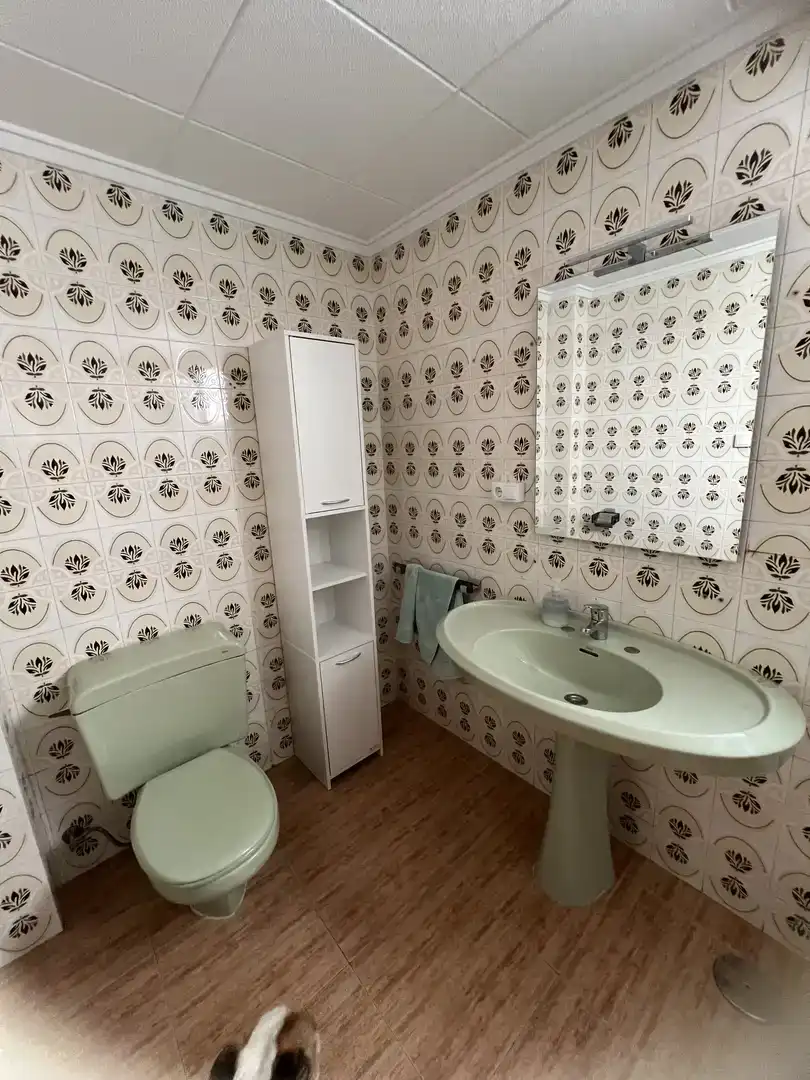 Habitación 160 m², Elche