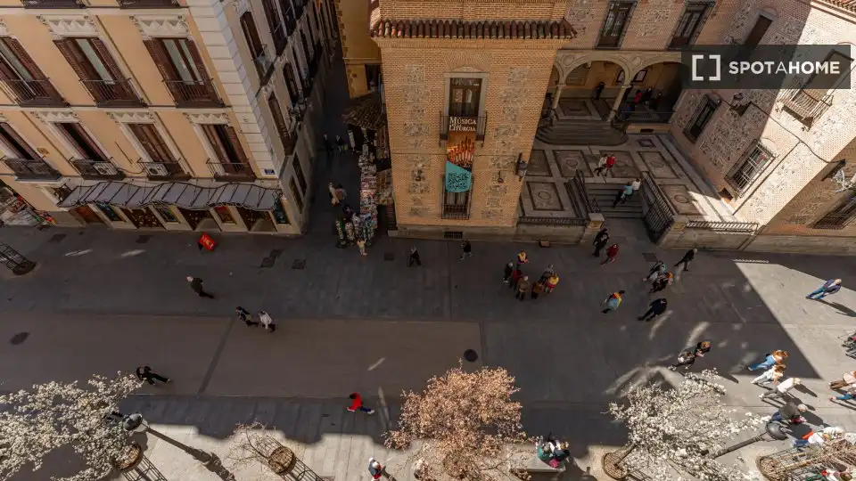 Кімната в оренду, Madrid