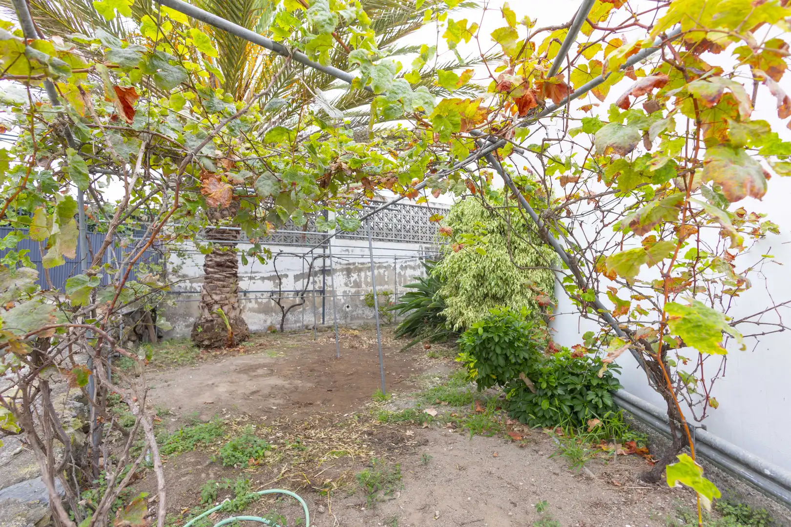 Appartement 170 m² à Icod de los Vinos