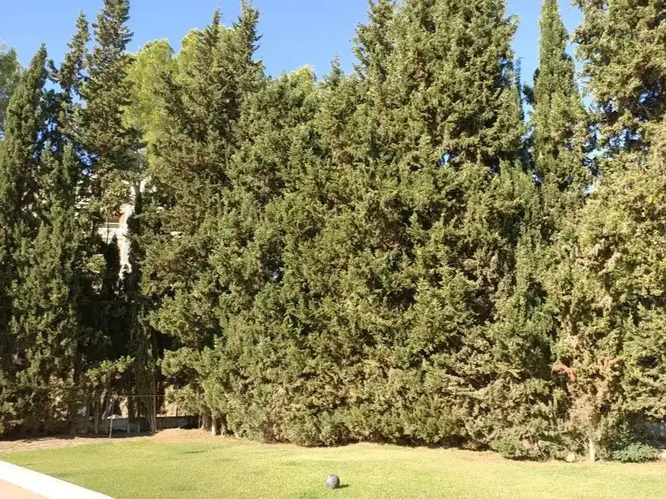 Piso de 95 m² en Calvià