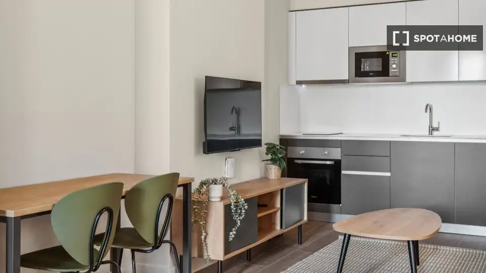 Pis de 28 m² a Madrid