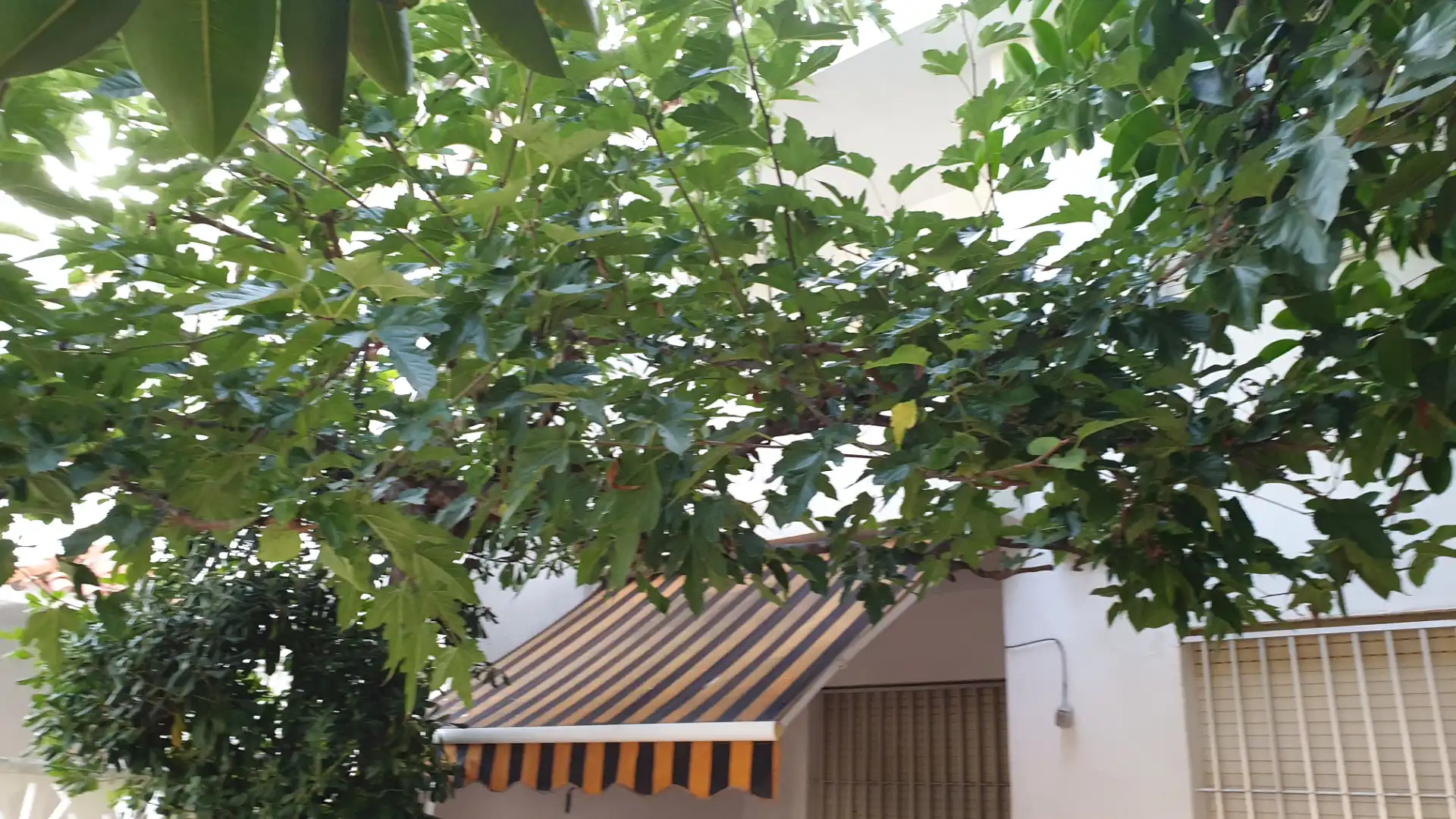 Appartement 45 m² à Peníscola / Peñíscola