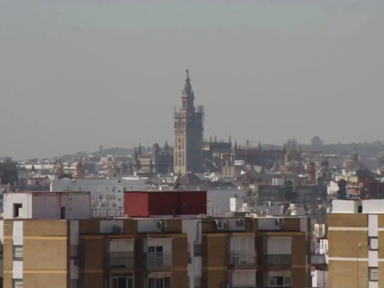 Habitació de lloguer, Sevilla