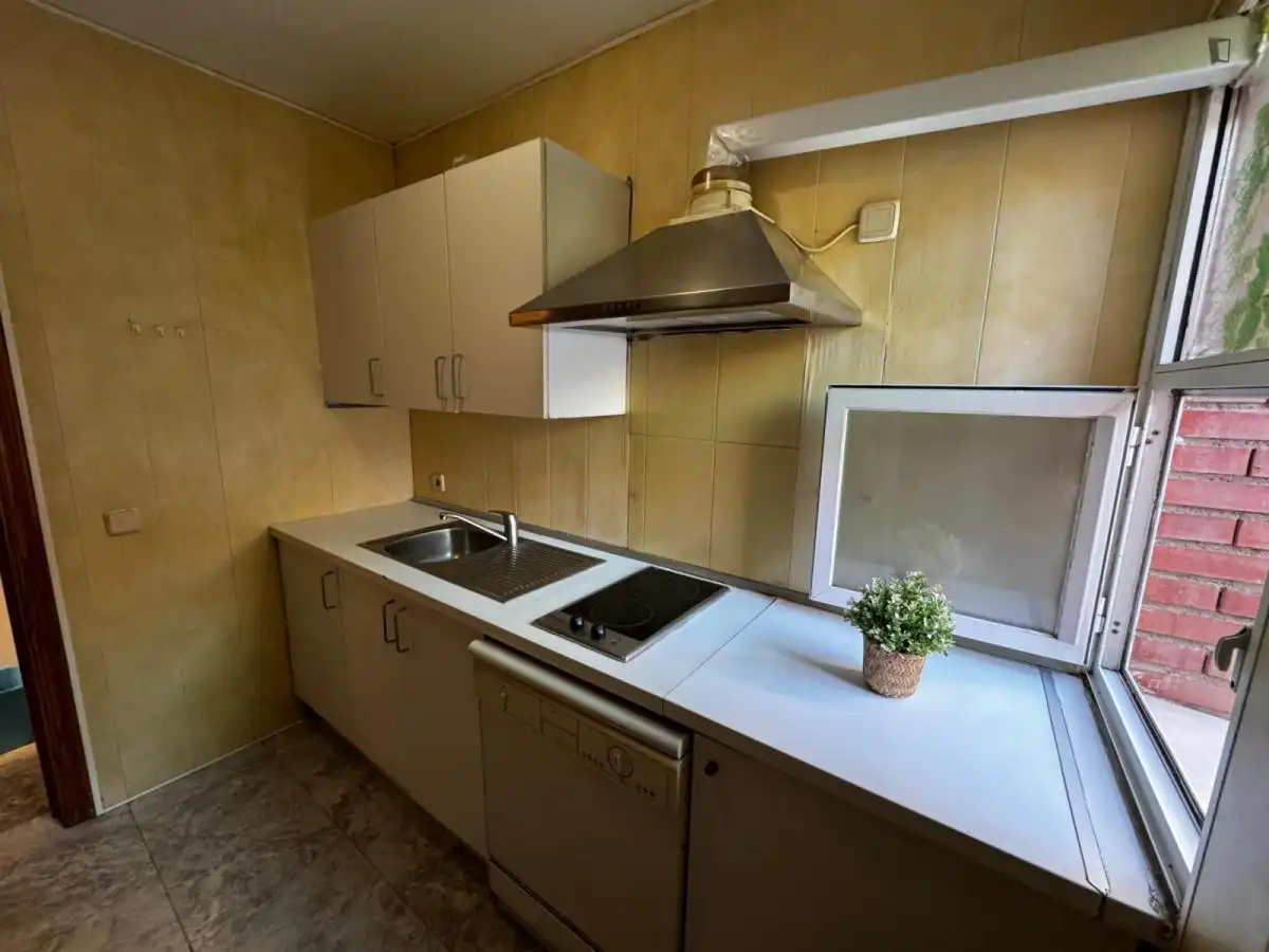Habitació de lloguer, Guadalajara