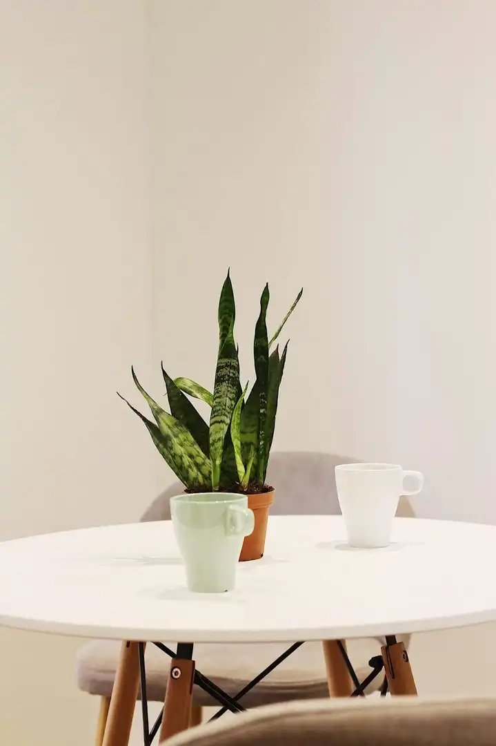 Habitación en alquiler, Barcelona