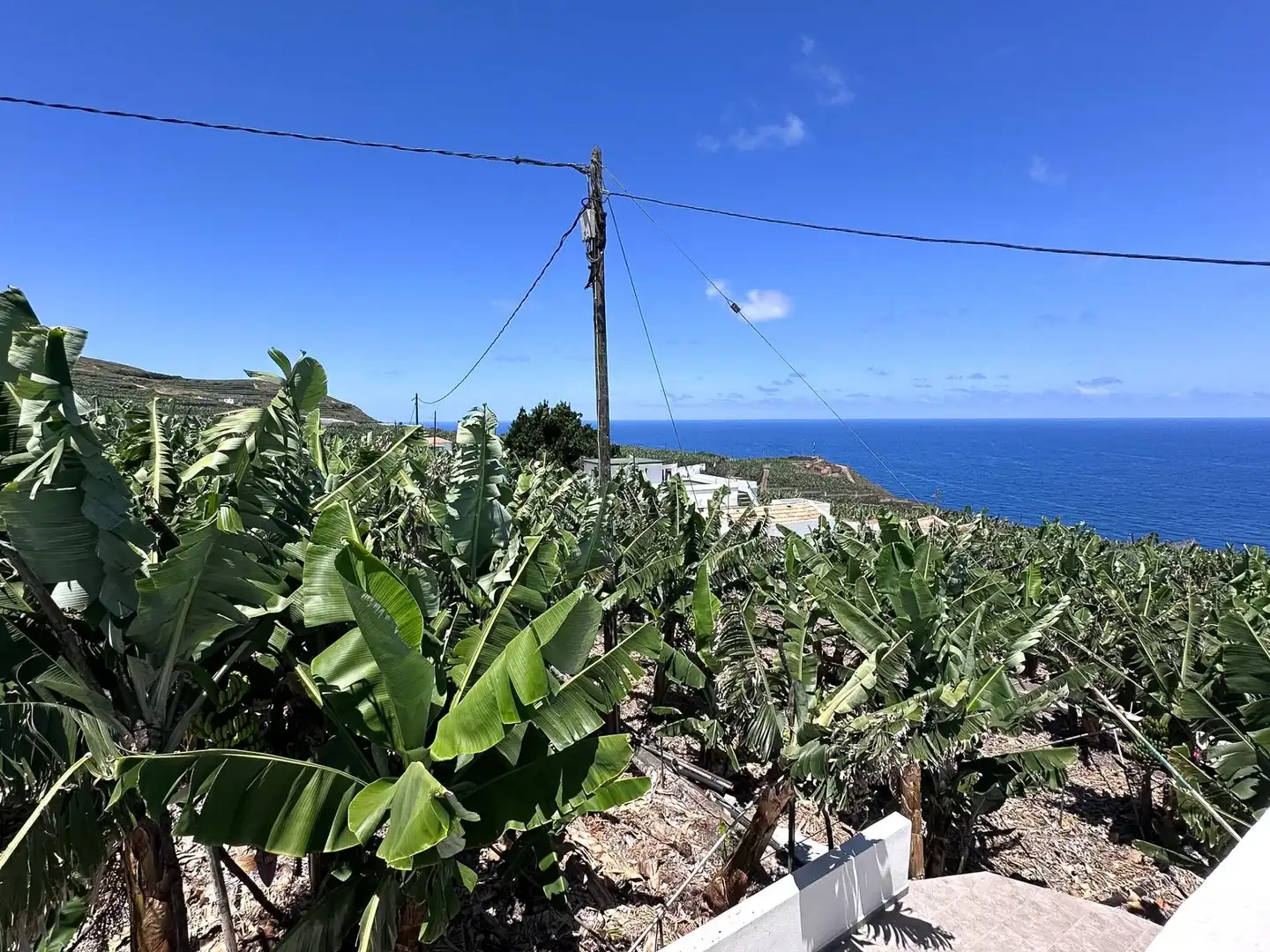 Piso de 44 m² en Barlovento