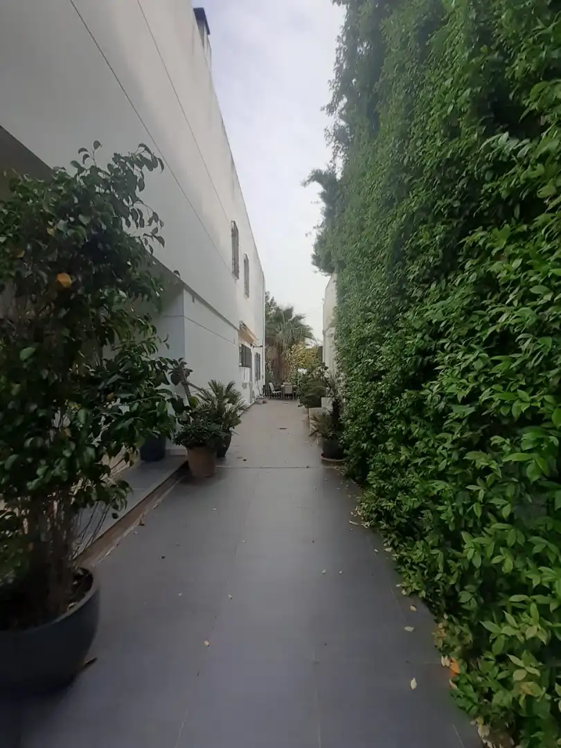 Pis de 625 m² a Còrdova