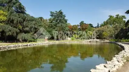 Pis de 76 m² a Madrid