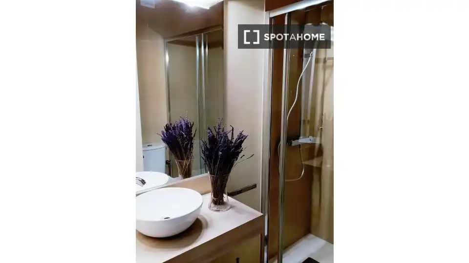 Habitación en alquiler, Bilbao