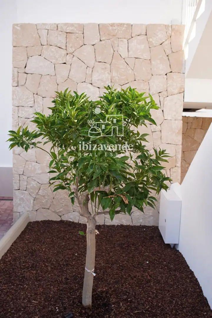 Wohnung 110 m² in Sant Antoni de Portmany