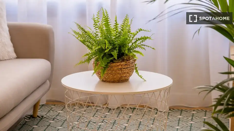 Habitación 53 m², Málaga