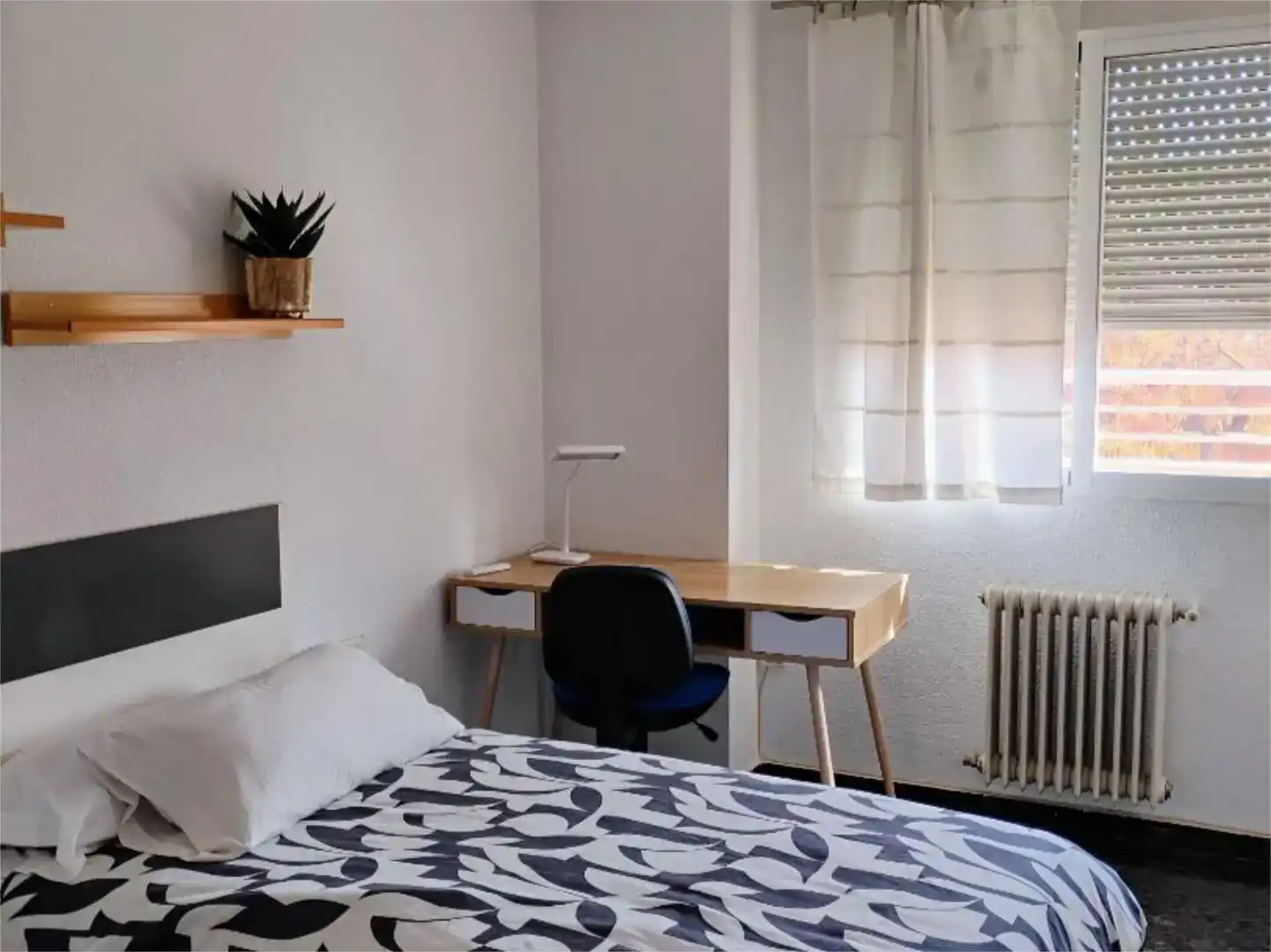 Habitació de lloguer, Albacete