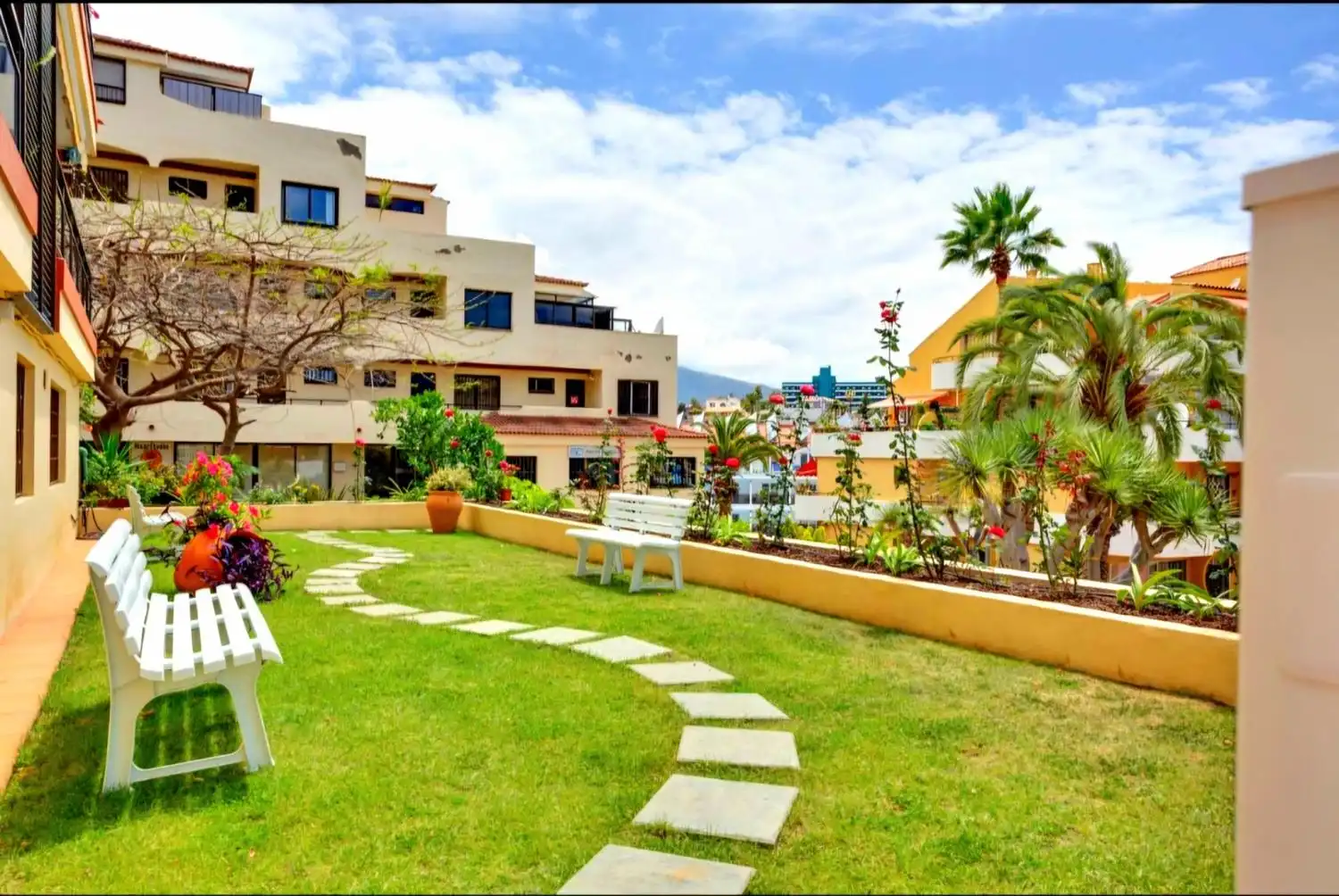 Pis de 29 m² a Puerto de la Cruz
