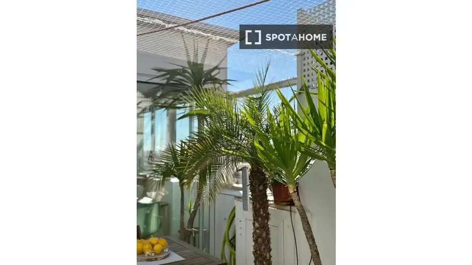 Habitación en alquiler, Alicante