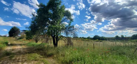 Pis de 13400 m² a Bargas