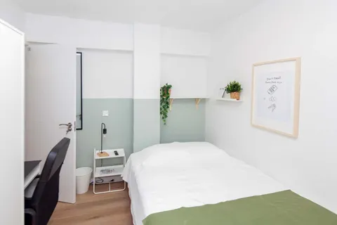 Stanza in affitto, Valencia