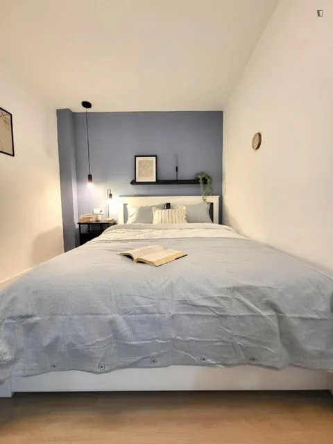 Habitació de lloguer, Alacant