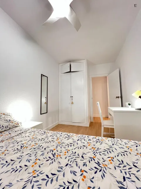 Habitació de lloguer, Alacant
