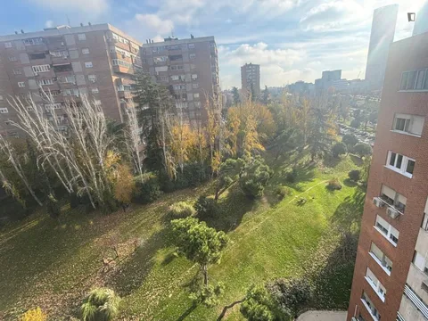 Habitació de lloguer, Madrid