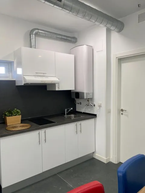 Pis de 29 m² a Madrid