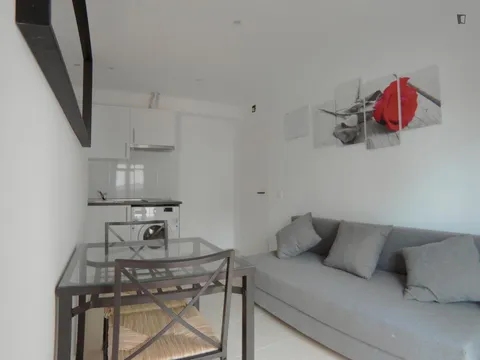 Pis de 30 m² a Madrid