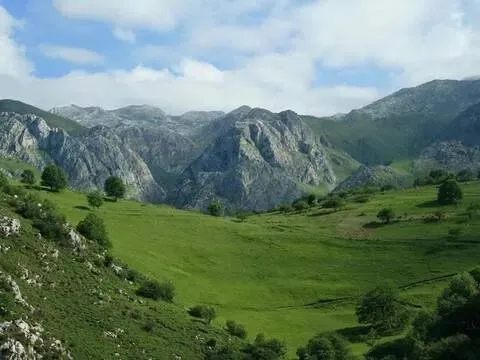 Wohnung 60 m² in Cabrales
