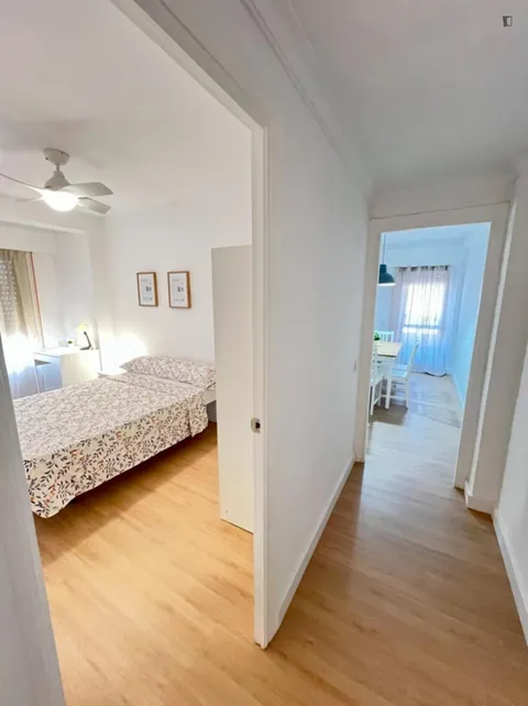 Habitació de lloguer, Alacant