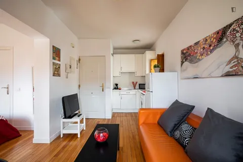 Appartamento 36 m² a Madrid