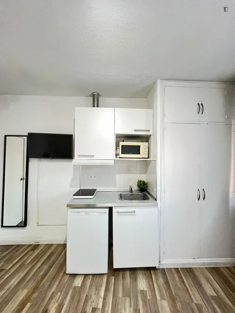 Appartamento 21 m² a Madrid (3/6)