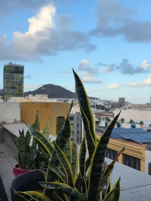 Pis de 70 m² a Las Palmas de Gran Canaria