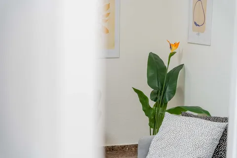 Habitació de lloguer, València