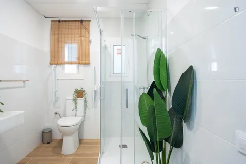 Habitació de lloguer, Barcelona