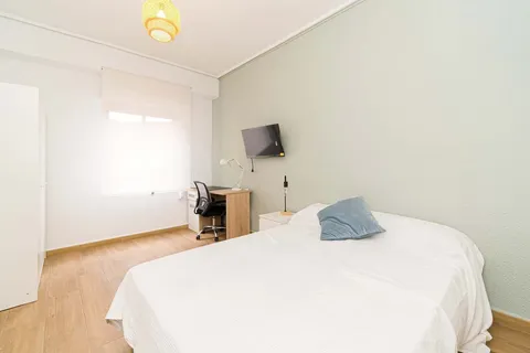 Habitació de lloguer, Elx