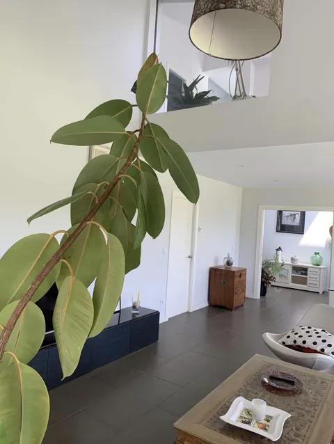 Flat 450 m² in Vega de Liébana