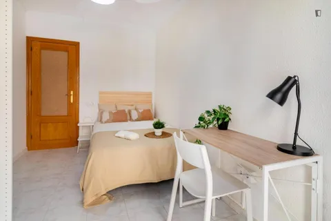 Stanza in affitto, Valencia