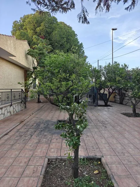 Pis de 252 m² a Sant Vicent del Raspeig