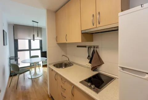 Appartamento 35 m² a Madrid